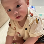 一只迷你嘟